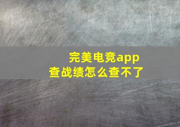 完美电竞app查战绩怎么查不了