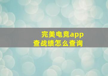 完美电竞app查战绩怎么查询