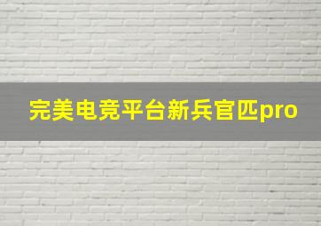 完美电竞平台新兵官匹pro