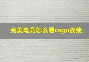 完美电竞怎么看csgo战绩