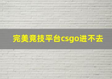 完美竞技平台csgo进不去