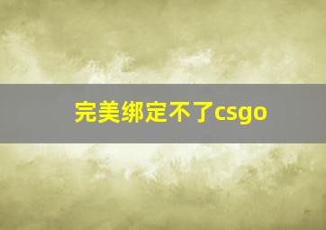 完美绑定不了csgo