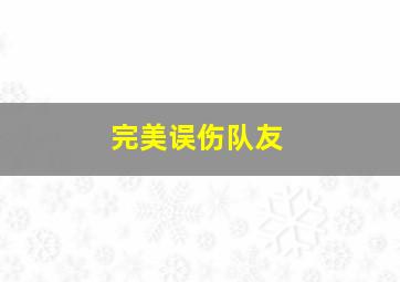 完美误伤队友