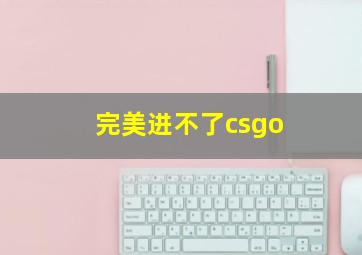 完美进不了csgo