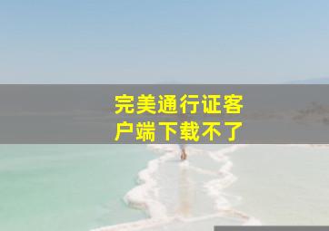 完美通行证客户端下载不了