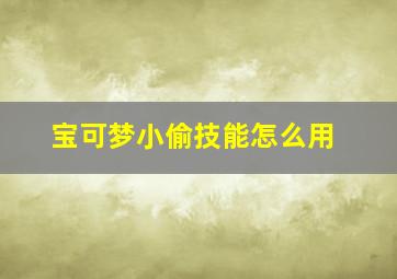 宝可梦小偷技能怎么用