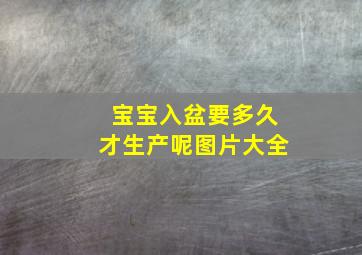 宝宝入盆要多久才生产呢图片大全