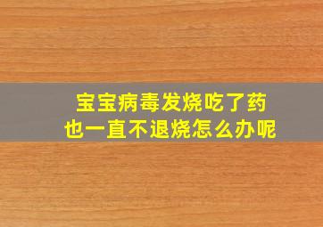 宝宝病毒发烧吃了药也一直不退烧怎么办呢