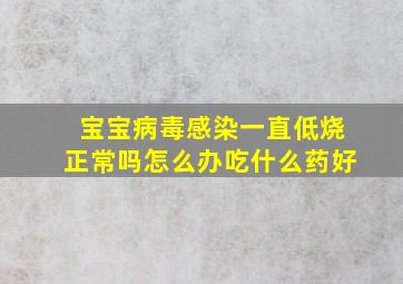 宝宝病毒感染一直低烧正常吗怎么办吃什么药好