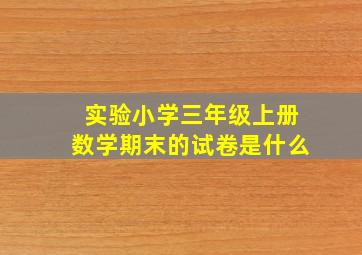 实验小学三年级上册数学期末的试卷是什么