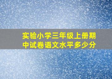 实验小学三年级上册期中试卷语文水平多少分