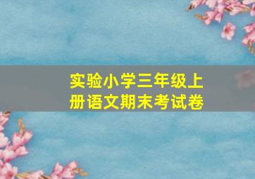 实验小学三年级上册语文期末考试卷