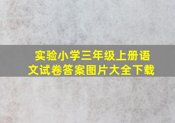 实验小学三年级上册语文试卷答案图片大全下载