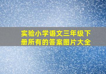 实验小学语文三年级下册所有的答案图片大全