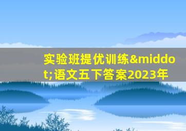 实验班提优训练·语文五下答案2023年