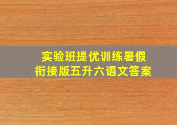 实验班提优训练暑假衔接版五升六语文答案