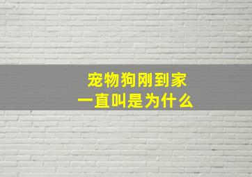 宠物狗刚到家一直叫是为什么