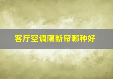 客厅空调隔断帘哪种好