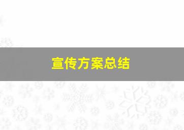 宣传方案总结