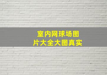 室内网球场图片大全大图真实