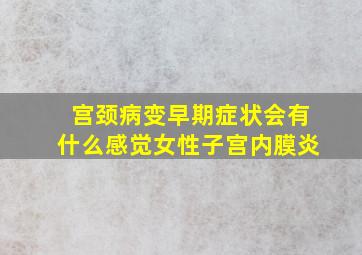 宫颈病变早期症状会有什么感觉女性子宫内膜炎