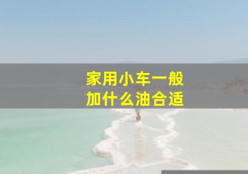 家用小车一般加什么油合适