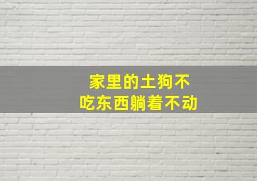 家里的土狗不吃东西躺着不动