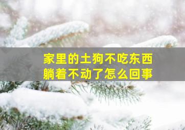 家里的土狗不吃东西躺着不动了怎么回事