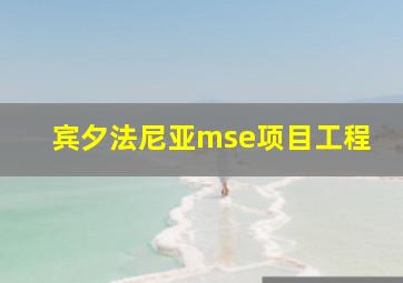 宾夕法尼亚mse项目工程