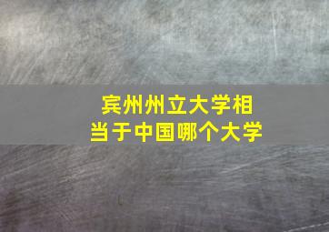 宾州州立大学相当于中国哪个大学