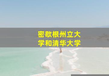 密歇根州立大学和清华大学