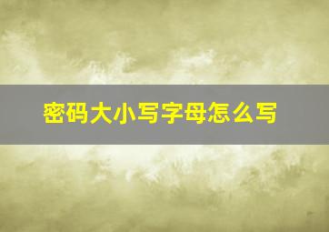 密码大小写字母怎么写