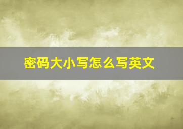 密码大小写怎么写英文