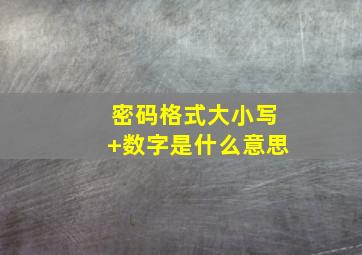 密码格式大小写+数字是什么意思