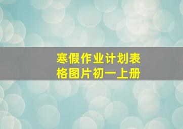 寒假作业计划表格图片初一上册