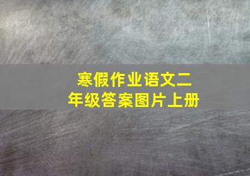 寒假作业语文二年级答案图片上册