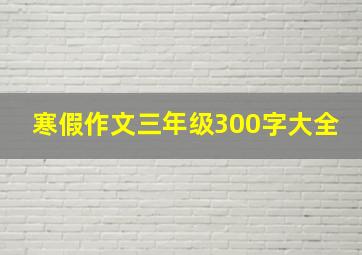 寒假作文三年级300字大全