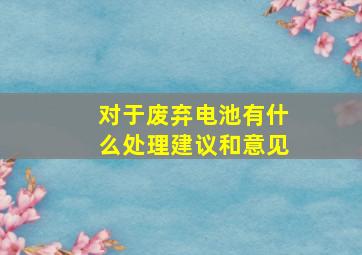 对于废弃电池有什么处理建议和意见