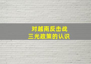 对越南反击战三光政策的认识