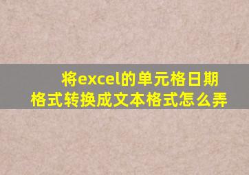 将excel的单元格日期格式转换成文本格式怎么弄