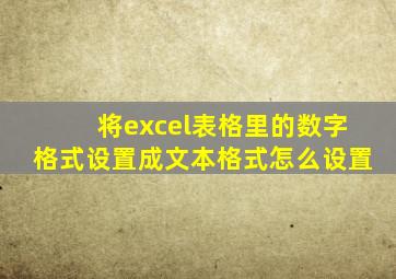 将excel表格里的数字格式设置成文本格式怎么设置