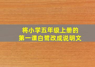 将小学五年级上册的第一课白鹭改成说明文