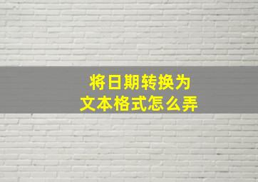 将日期转换为文本格式怎么弄