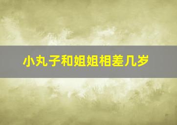 小丸子和姐姐相差几岁