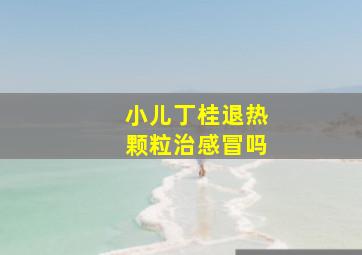 小儿丁桂退热颗粒治感冒吗