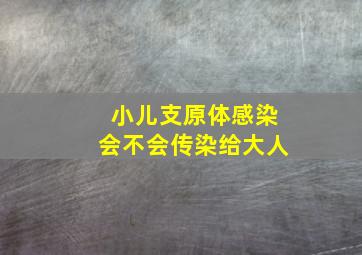 小儿支原体感染会不会传染给大人