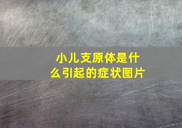 小儿支原体是什么引起的症状图片