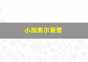 小加索尔荣誉