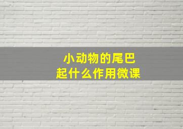 小动物的尾巴起什么作用微课