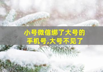 小号微信绑了大号的手机号,大号不见了